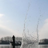88.jpg
